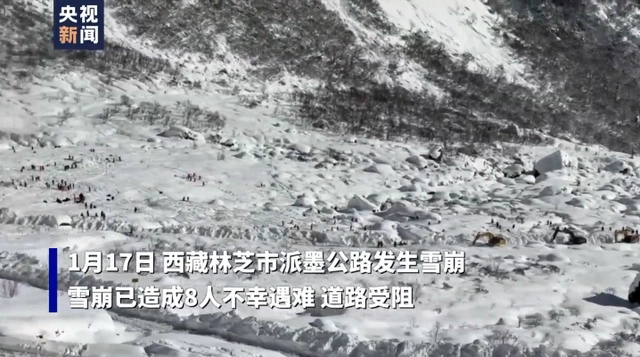 西藏林芝派墨公路发生雪崩 已造成8人不幸遇难